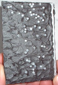 Celan P. Tenebrae 6